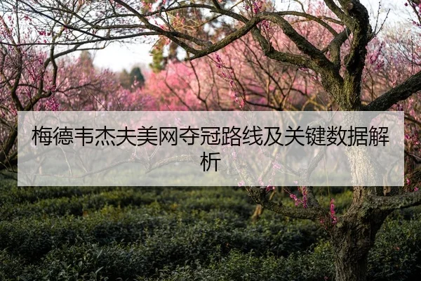 梅德韦杰夫美网夺冠路线及关键数据解析
